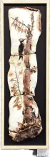 Woodpecker and Birch