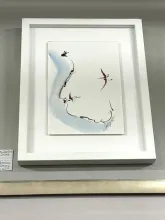Swallows on the wing